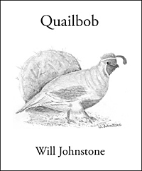 ISBN 978-0-615-41331-0 'Quailbob', Poetry by Will Johnstone, Artist